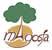 Magosfa log�