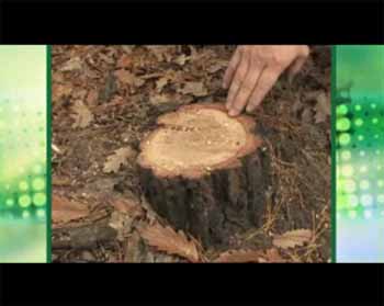 Magyar Term�k Nagyd�jat elnyert irodasz�k